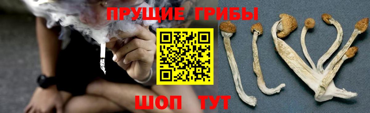 Псилоцибиновые грибы MAGIC MUSHROOMS Кувандык